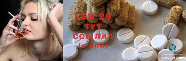гидра Нея