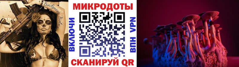 Галлюциногенные грибы Psilocybine cubensis  Купить закладки  Кондопога 